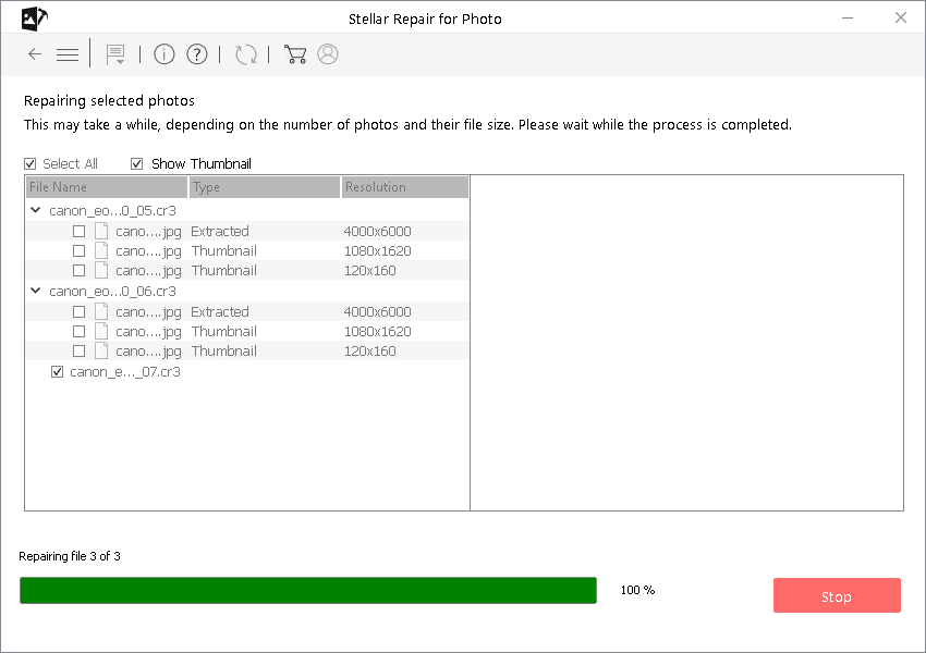 1. Stellar Repair for Photo 